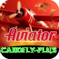 3cardfly Turbo Pro v2.9.4