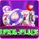 9pkr Pro Max v5.5.8