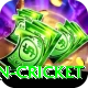 afghanistan cricket App