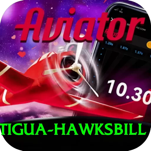 antigua hawksbill Turbo Pro v1.8.3 - 2