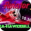 antigua hawksbill Turbo Pro v1.8.3
