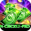 australian cricket Earn Legend v1.3.2