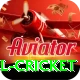 bbl cricket Apps (Tools & Injectors) Max v3.9.8