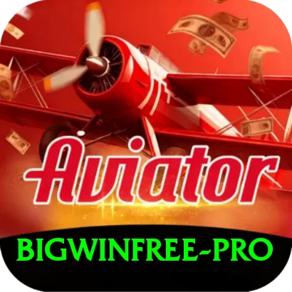 bigwinfree Pro Edition v4.4.0 - 2