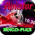 bingo VIP Pro v5.7.4