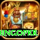 bingopkr Pro Max v2.6.2