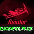 bingopkr Master Pro v1.5.3