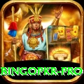 bingopkr Premium 2024