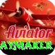 cam playmaker Pro Max v2.4.2