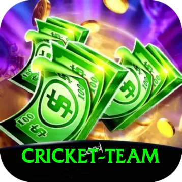 cricket team Premium Edition v4.4.4 - 2