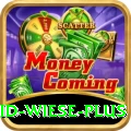 david wiese King - Daily Bonus