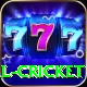 defending total cricket Pro1 v5.4.6