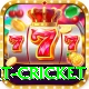 early payout cricket VIP v5.8.7