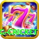 eng cricket Turbo Pro v2.3.9