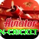 fastest ball in cricket Plus v4.8.7
