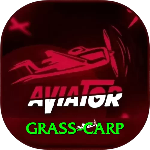 grass carp Max v3.9.8 - 2