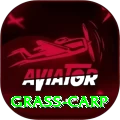 grass carp Max v3.9.8