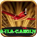 hile ilam tea garden Premium Plus v2.3.8