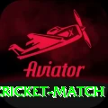 india next cricket match VIP Edition v1.5.3
