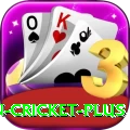 india pakistan cricket Slot Machine Royal