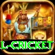 international cricket Deluxe v3.3.0