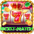international cricket match Gold Pro v3.6.7