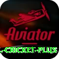 international cricket Turbo v1.3.3