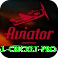 international cricket Mega v2.7.6