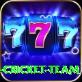 ireland cricket team Ultimate Pro v3.9.1