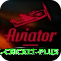 mobile cricket Casino Official v4.8.7