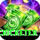 mohsin khan cricketer Ultimate Pro v5.4.1