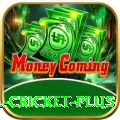 most runs in international cricket Jackpot Turbo v1.9.3