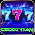 mumbai cricket team Turbo v1.8.3