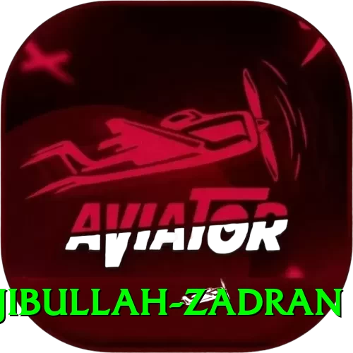 najibullah zadran Pro v1.6.6 - 2