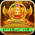naseem shah yorkers Games (Casino & Earning) Gold v5.8.5