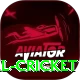 nepal cricket Apps (Tools & Injectors) VIP v3.3.0