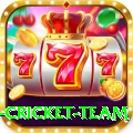 netherlands cricket team Premium Edition v4.6.2