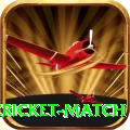 next cricket match Deluxe v1.2.9