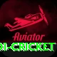 odi cricket Plus Pro v1.3.3
