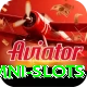 Omni Slots Pro
