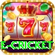 one cricket Gold Pro v3.1.6