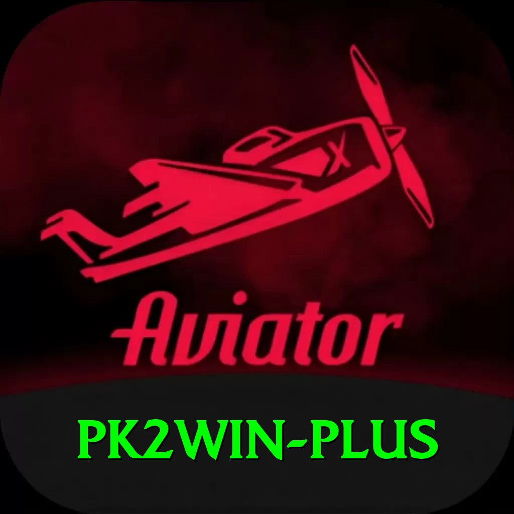pk2win VIP v3.1.0 - 2