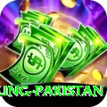 responsible gambling pakistan Deluxe Edition v5.7.2