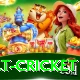 risk free bet cricket Pro v4.3.6