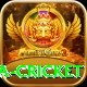 sa cricket Premium v5.6.6