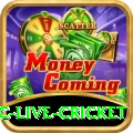 smartcric live cricket Pro Max v3.2.5