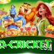 t20 cricket Games (Casino & Earning) Elite v3.2.7