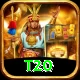 t20 Deluxe Pro v3.3.1