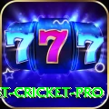 test cricket Casino King v1.0.7