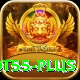 tot55 VIP v1.2.0